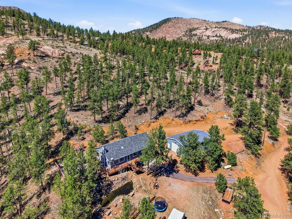 16687 Ouray Road W Pine CO 80470