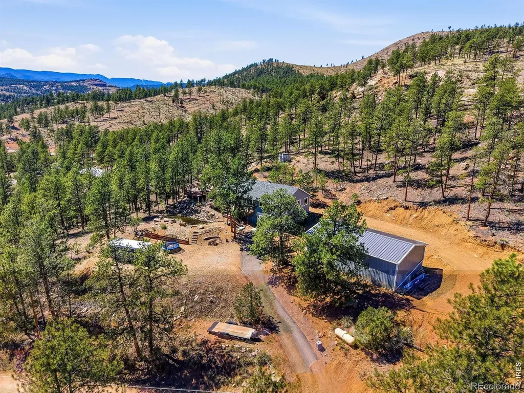 16687 Ouray Road W Pine CO 80470
