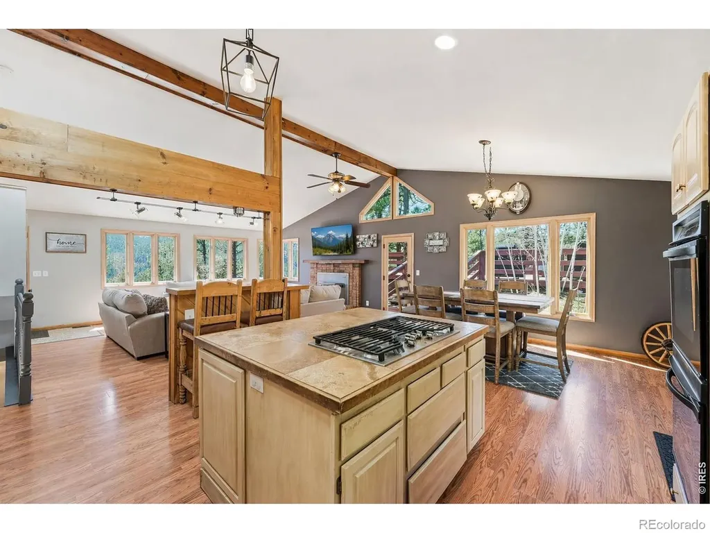 16687 Ouray Road W Pine CO 80470