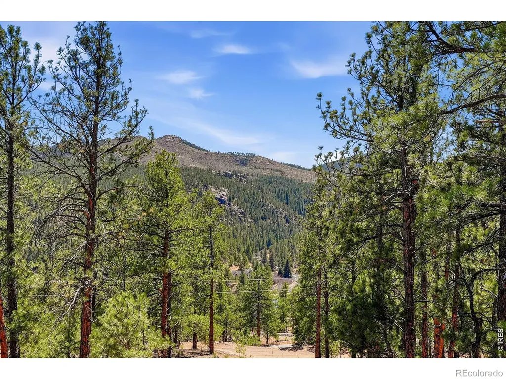 16687 Ouray Road W Pine CO 80470