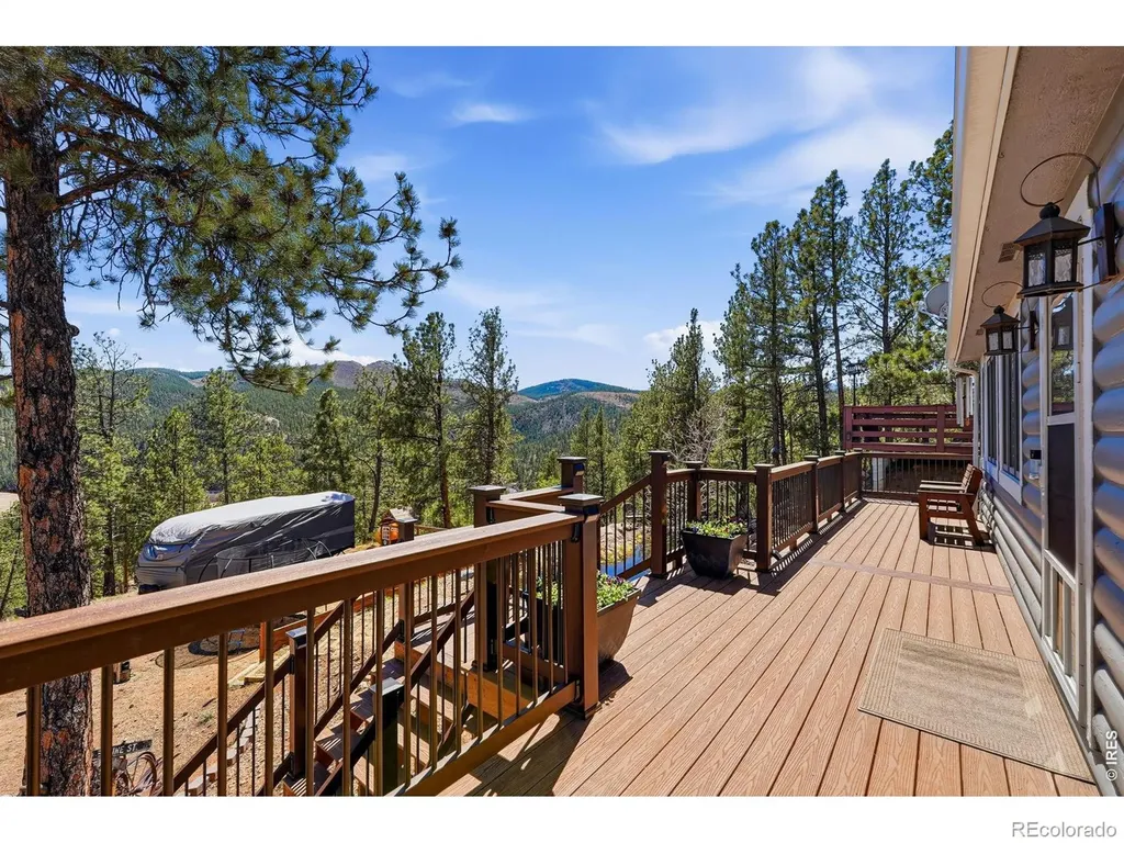 16687 Ouray Road W Pine CO 80470