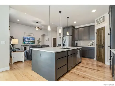 488 Vermilion Peak Drive Windsor CO 80550