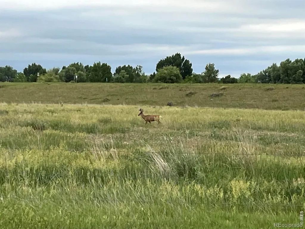 3625 N County Road19 Fort Collins CO 80524
