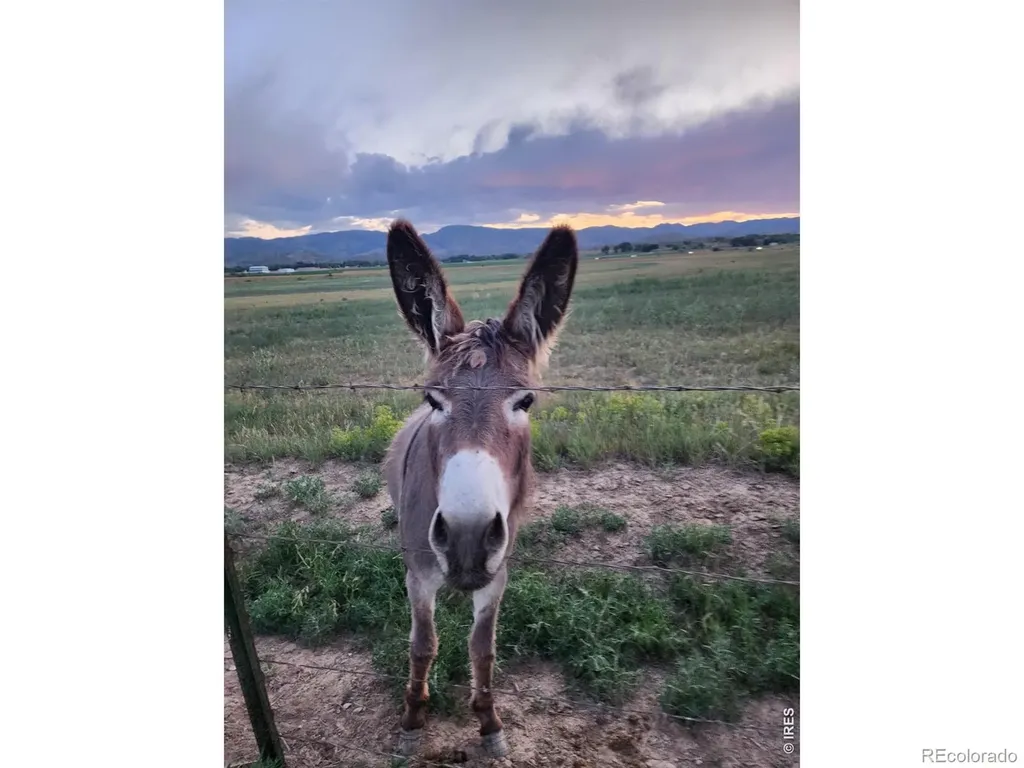 3625 N County Road19 Fort Collins CO 80524