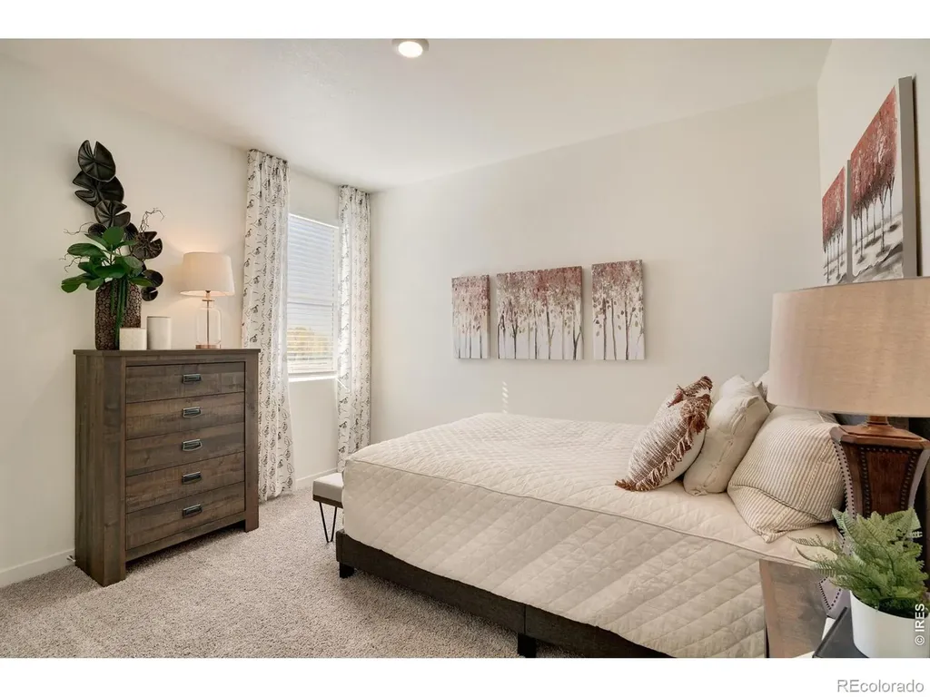 5621 Horro Street Windsor CO 80528