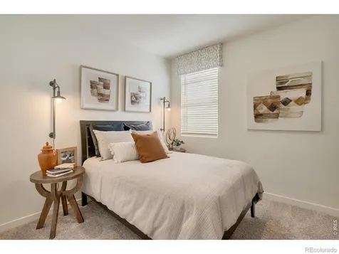 5621 Horro Street Windsor CO 80528