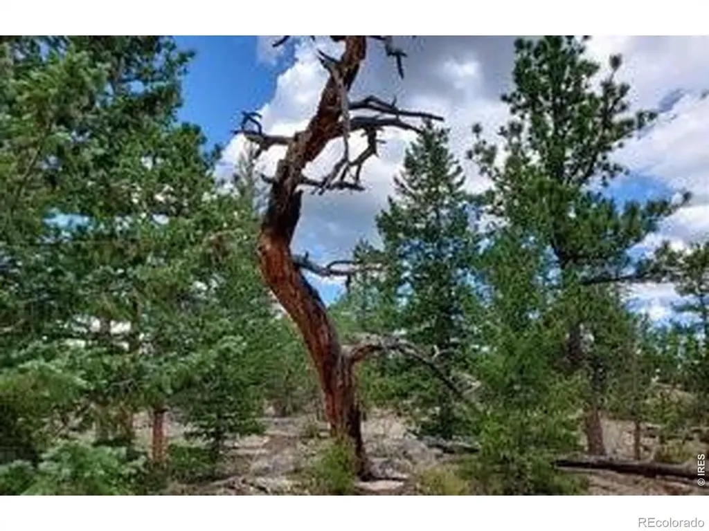 3021 Lake Arapahoe Court Red Feather Lakes CO 80545