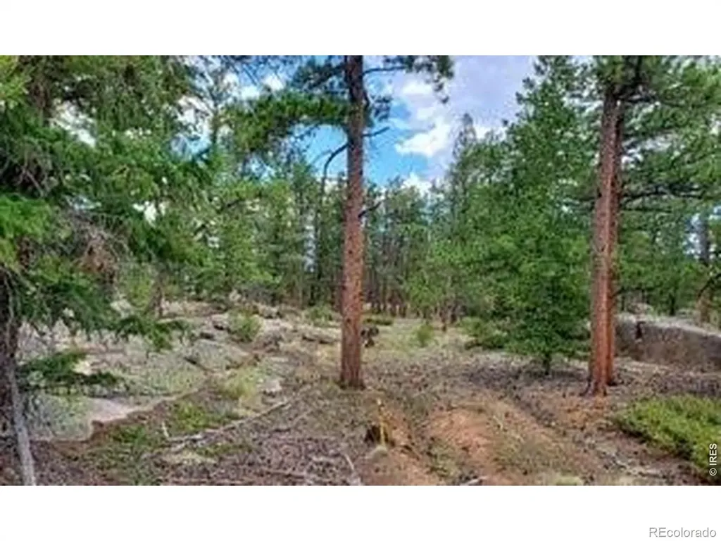 3021 Lake Arapahoe Court Red Feather Lakes CO 80545