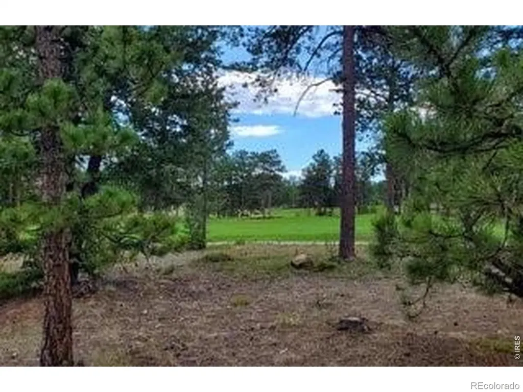 3021 Lake Arapahoe Court Red Feather Lakes CO 80545