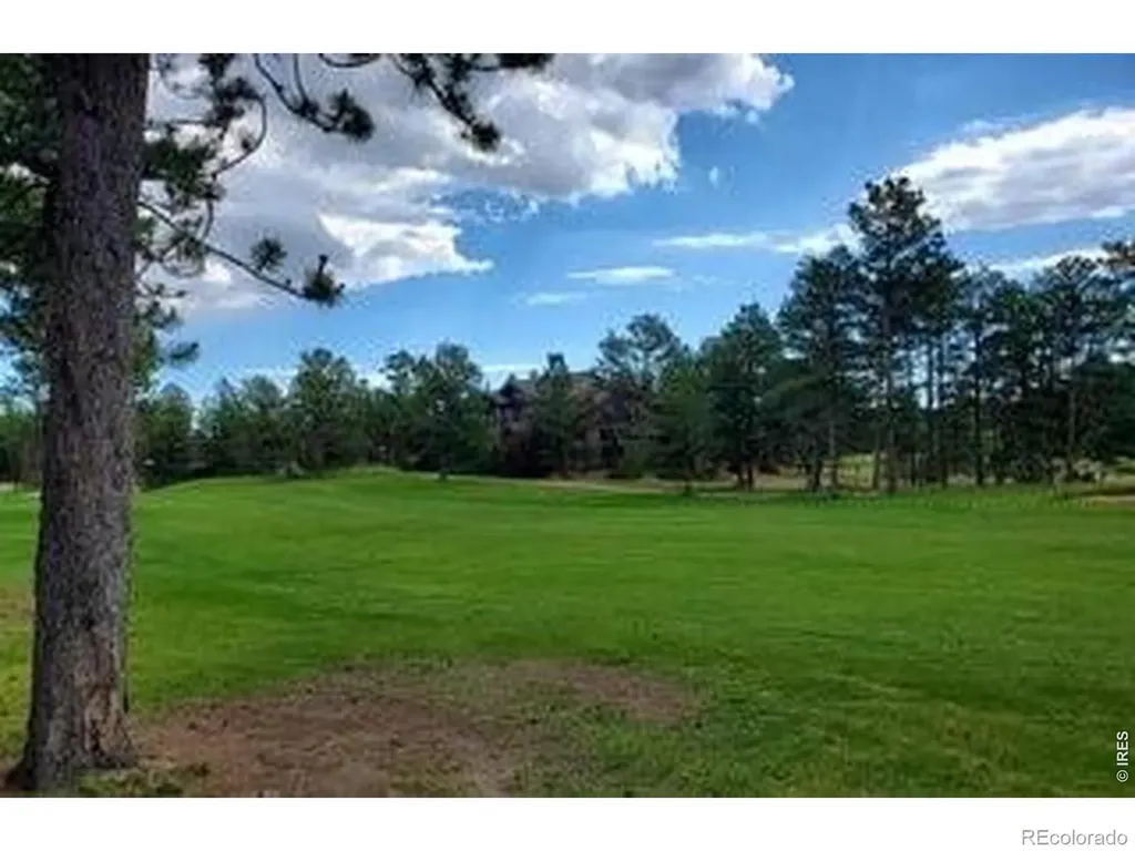 3021 Lake Arapahoe Court Red Feather Lakes CO 80545