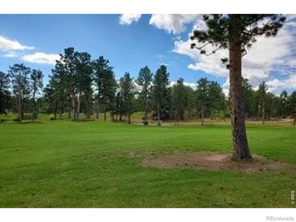 3021 Lake Arapahoe Court Red Feather Lakes CO 80545