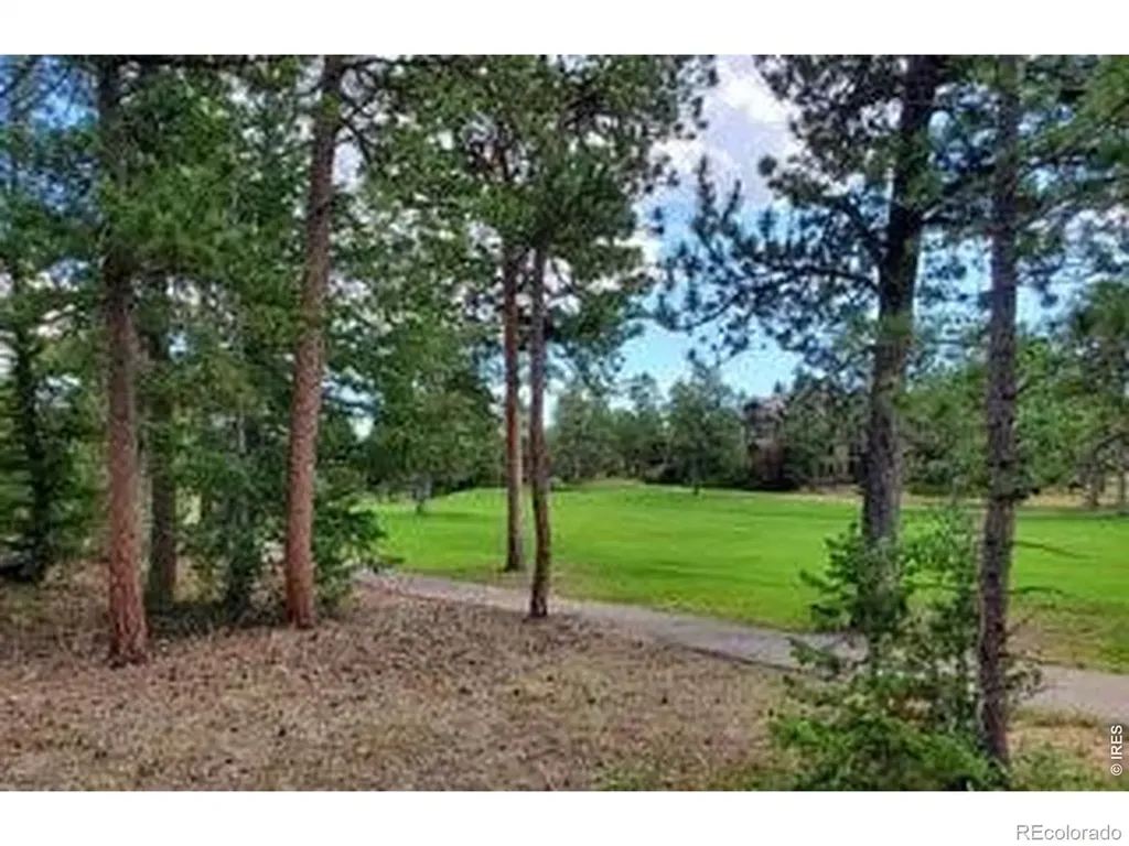 3021 Lake Arapahoe Court Red Feather Lakes CO 80545