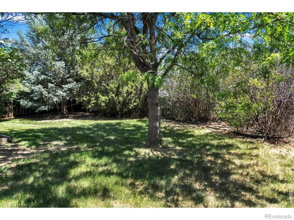 1106 Red Oak Drive Longmont CO 80504