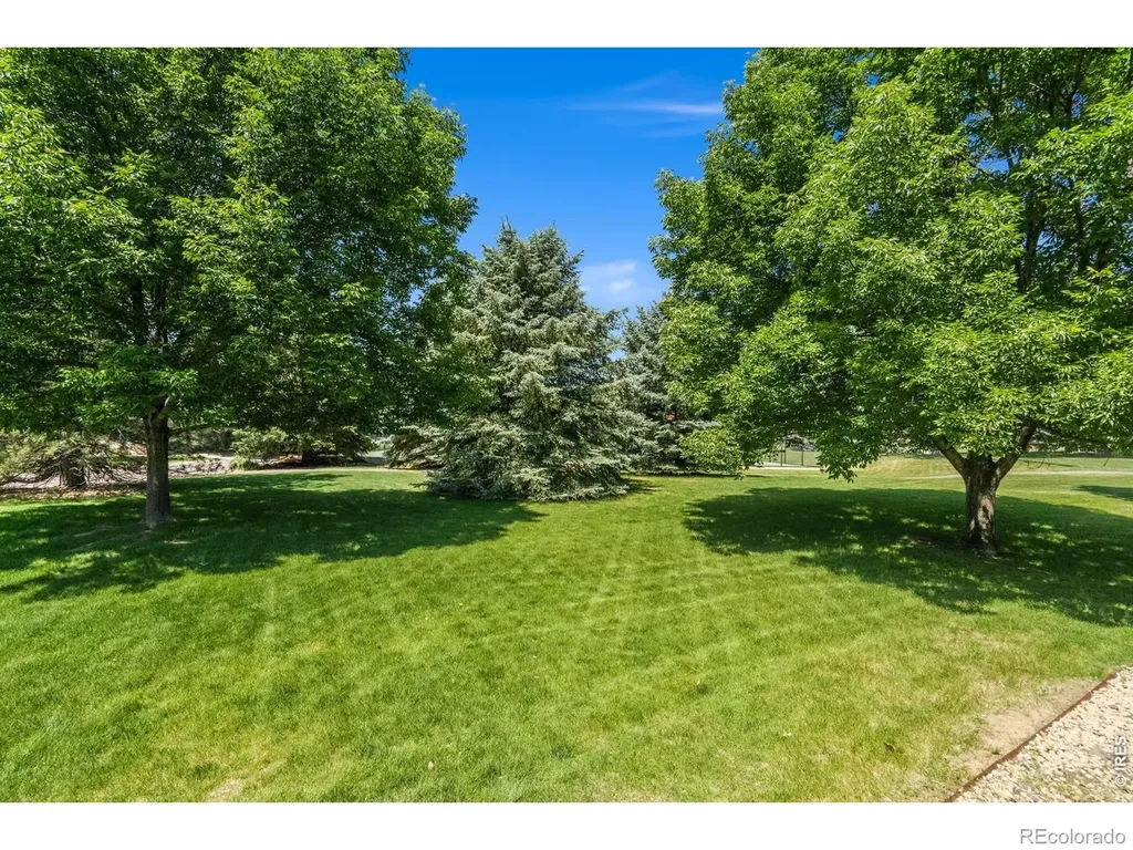 2059 Adriel Drive Fort Collins CO 80524