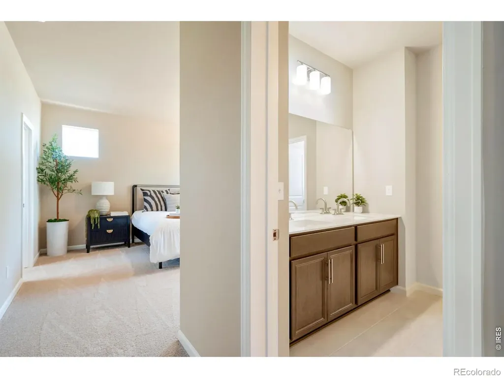 656 Noola Street Windsor CO 80550