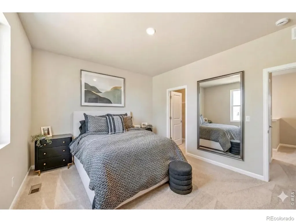 656 Noola Street Windsor CO 80550