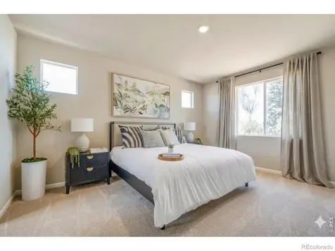 656 Noola Street Windsor CO 80550