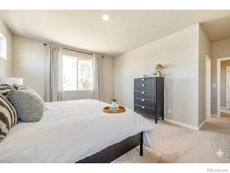 656 Noola Street Windsor CO 80550