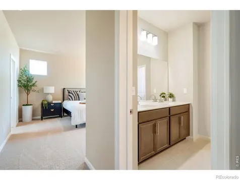 656 Noola Street Windsor CO 80550
