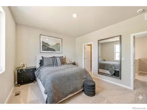 656 Noola Street Windsor CO 80550