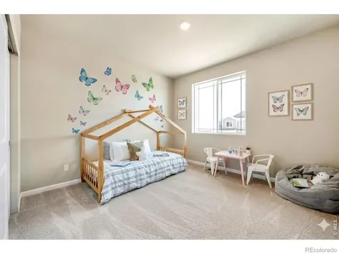 656 Noola Street Windsor CO 80550