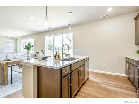 656 Noola Street Windsor CO 80550