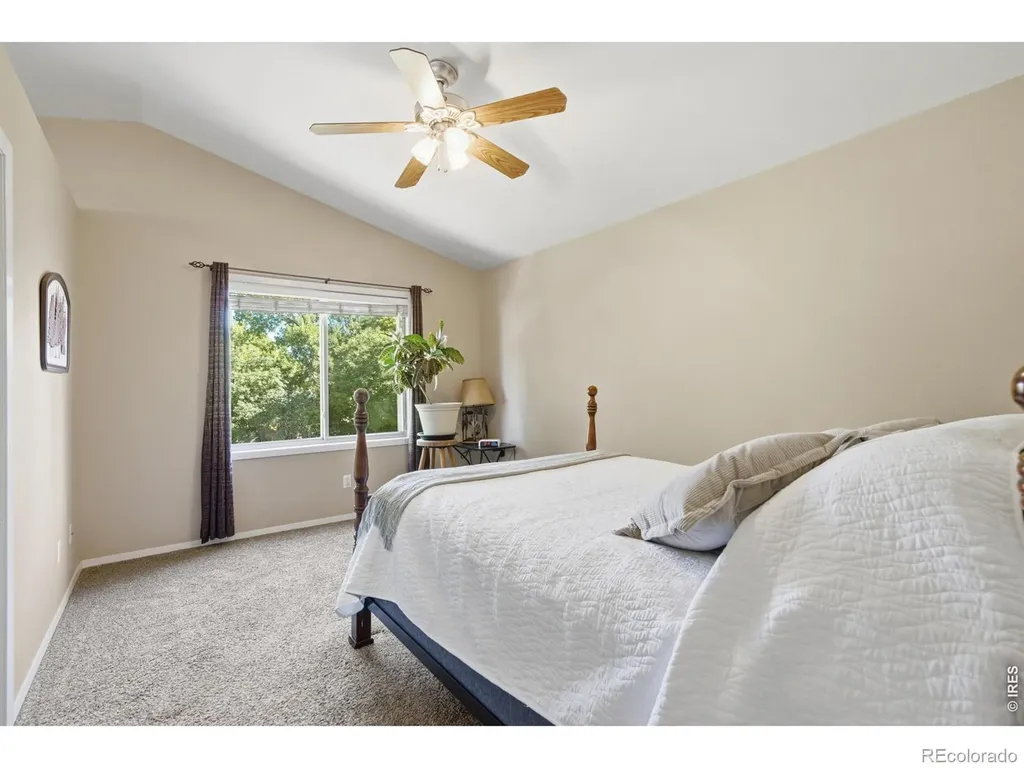 2449 Anemonie Court Loveland CO 80537