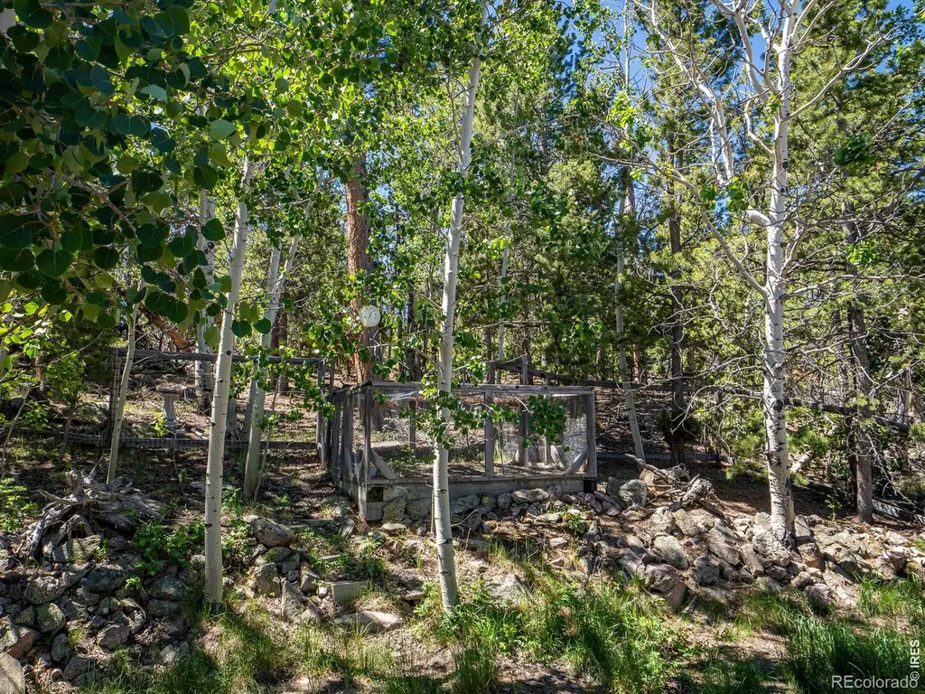 1847 Shoshoni Drive Red Feather Lakes CO 80545