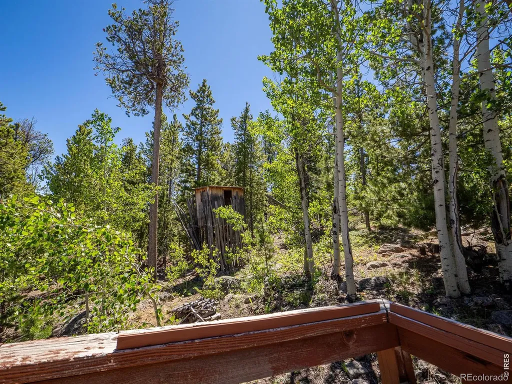 1847 Shoshoni Drive Red Feather Lakes CO 80545