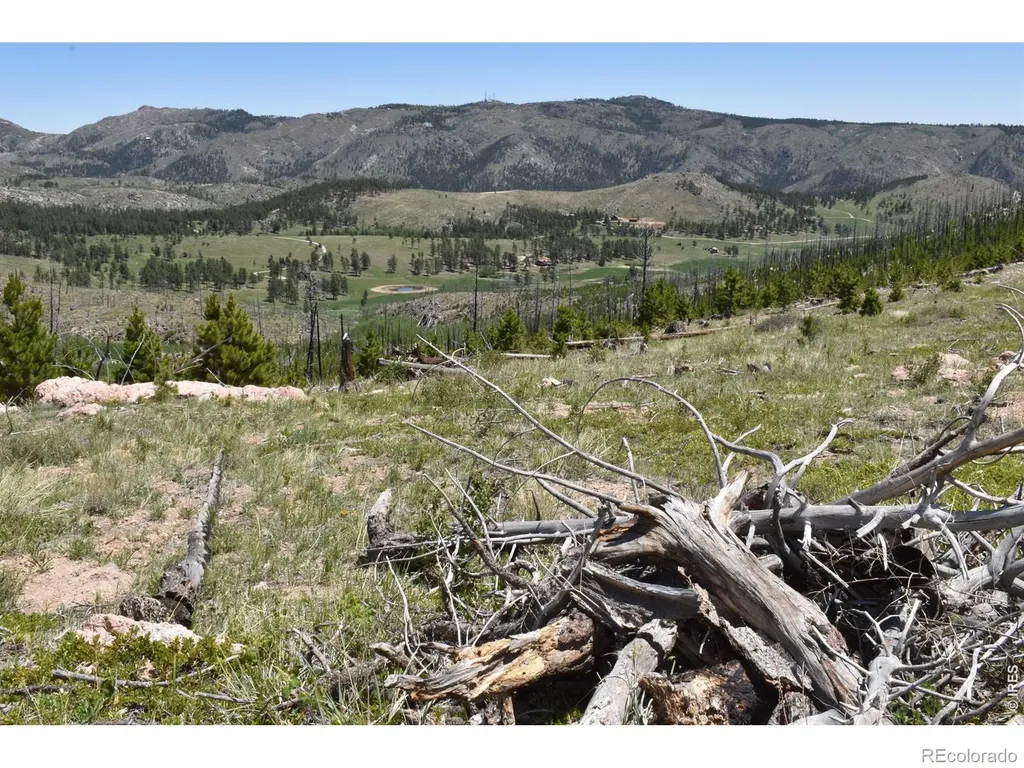 1989 Spencer Mountain Road Bellvue CO 80512