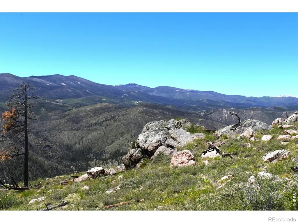 1989 Spencer Mountain Road Bellvue CO 80512