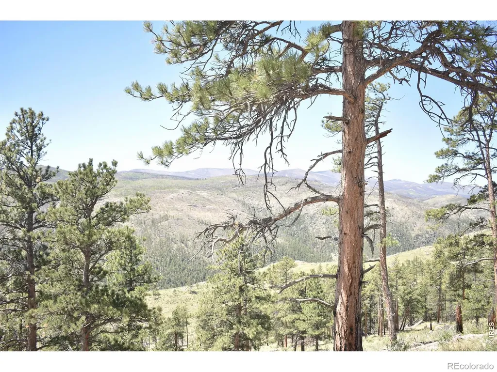 1989 Spencer Mountain Road Bellvue CO 80512
