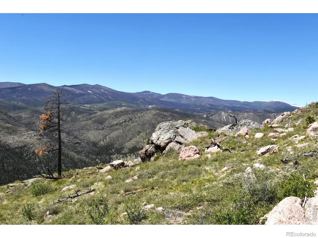 1989 Spencer Mountain Road Bellvue CO 80512