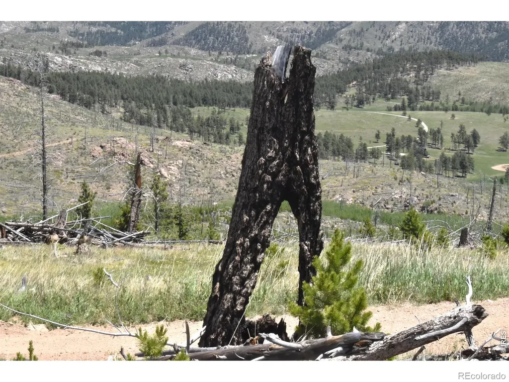 1989 Spencer Mountain Road Bellvue CO 80512