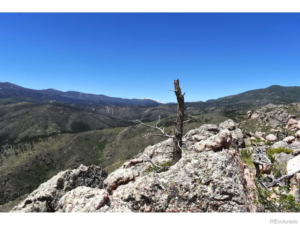 1989 Spencer Mountain Road Bellvue CO 80512