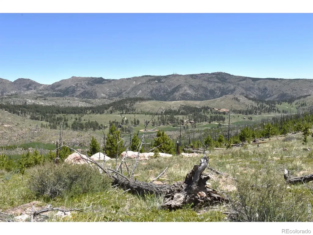 1989 Spencer Mountain Road Bellvue CO 80512