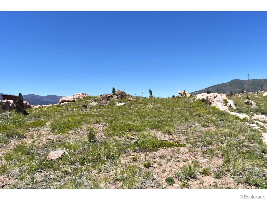 1989 Spencer Mountain Road Bellvue CO 80512