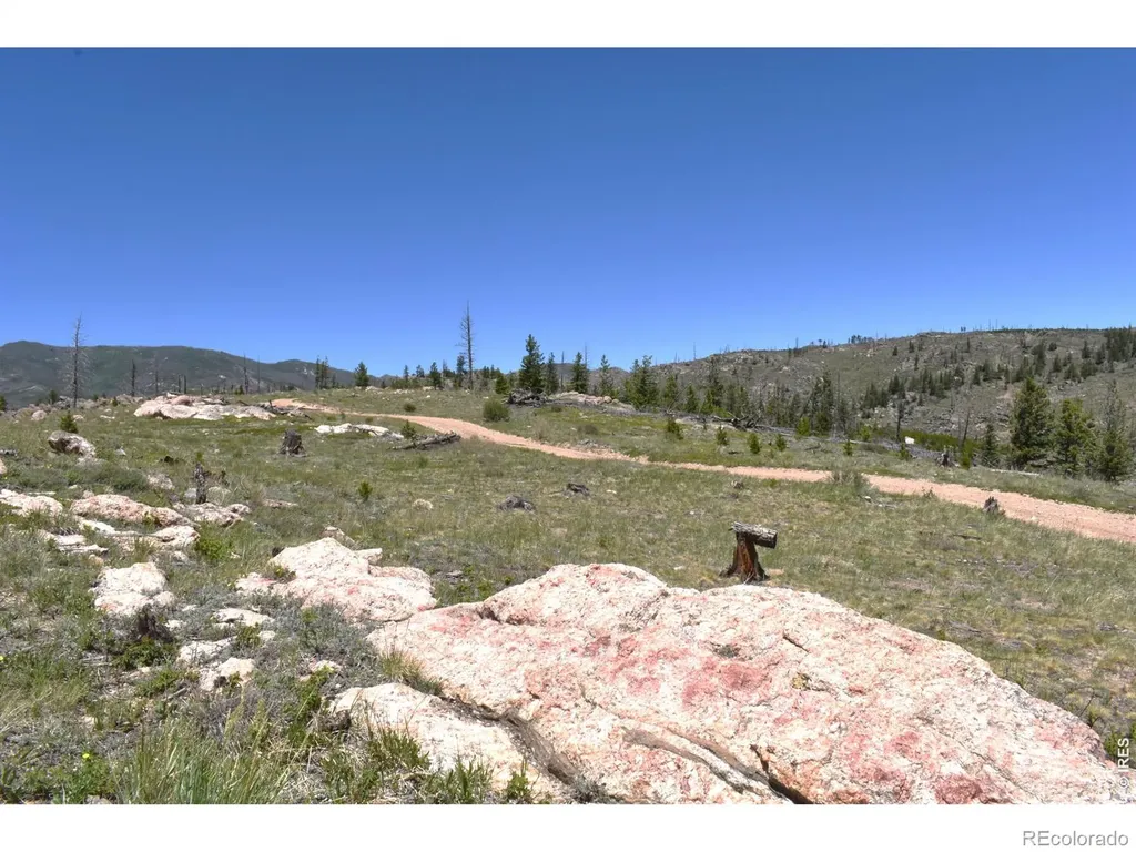 1989 Spencer Mountain Road Bellvue CO 80512