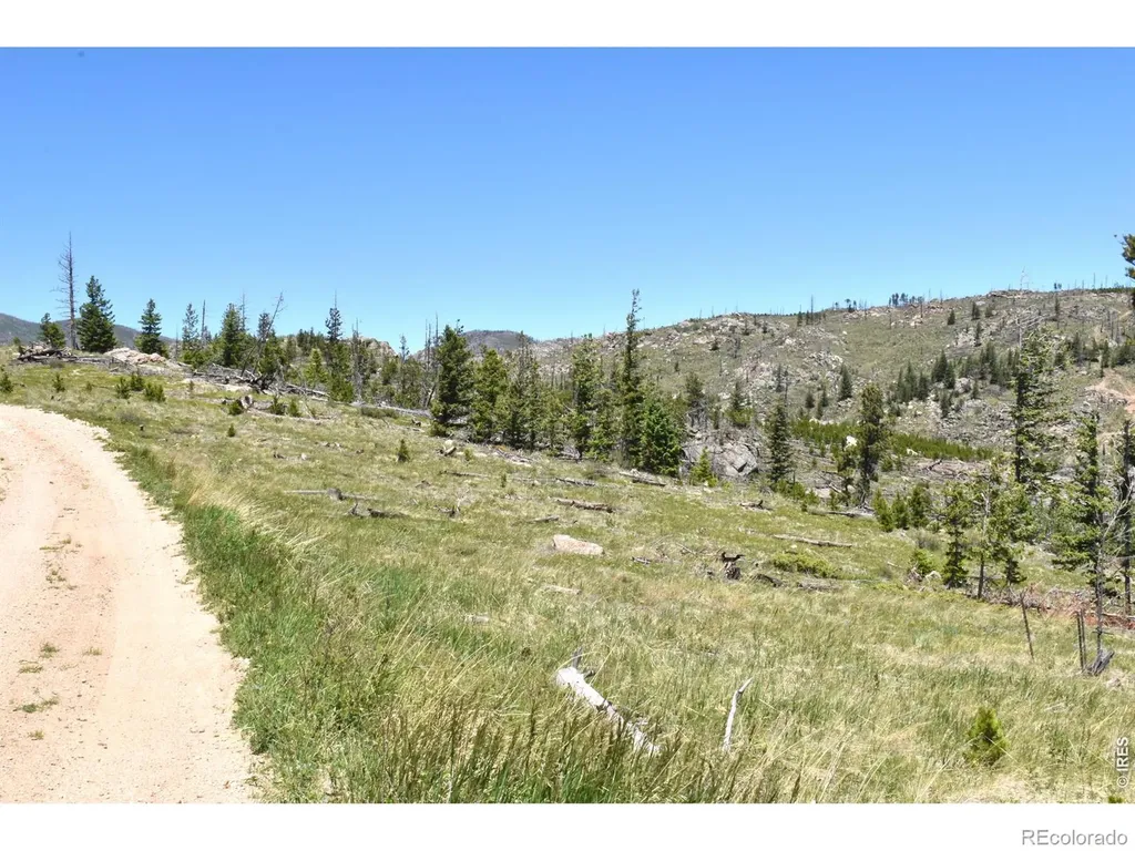 1989 Spencer Mountain Road Bellvue CO 80512