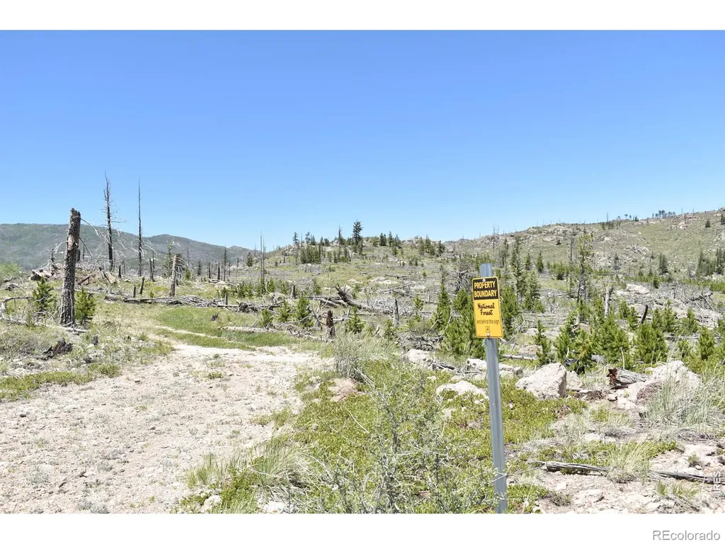 1989 Spencer Mountain Road Bellvue CO 80512