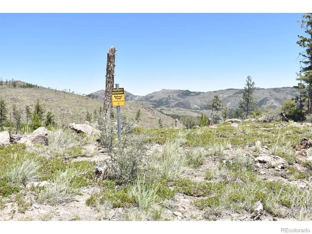 1989 Spencer Mountain Road Bellvue CO 80512