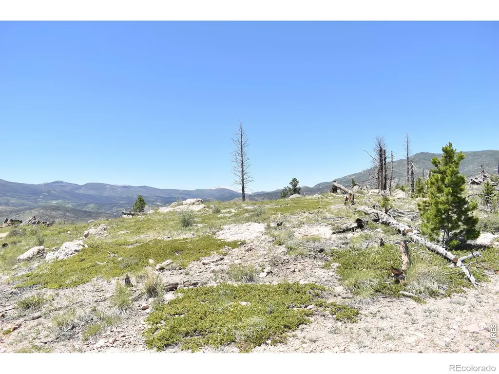1989 Spencer Mountain Road Bellvue CO 80512