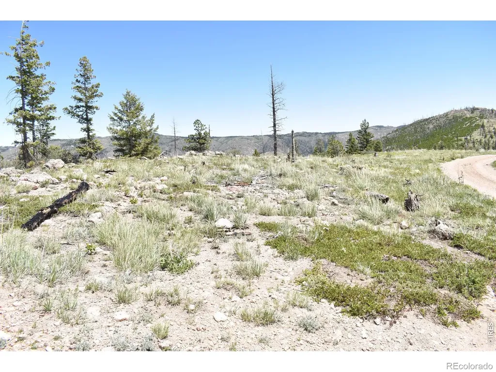 1989 Spencer Mountain Road Bellvue CO 80512