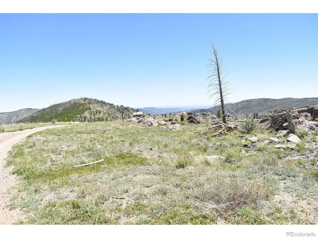 1989 Spencer Mountain Road Bellvue CO 80512