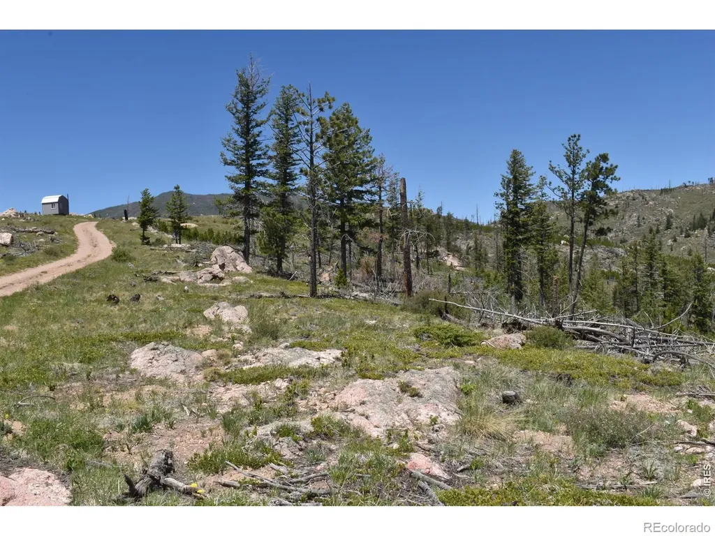 1989 Spencer Mountain Road Bellvue CO 80512