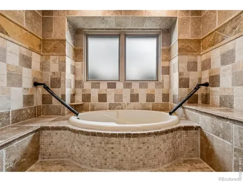 1782 Tulip Tree Place Castle Rock CO 80108