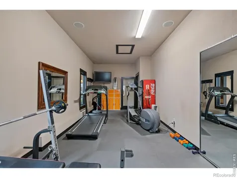 1782 Tulip Tree Place Castle Rock CO 80108