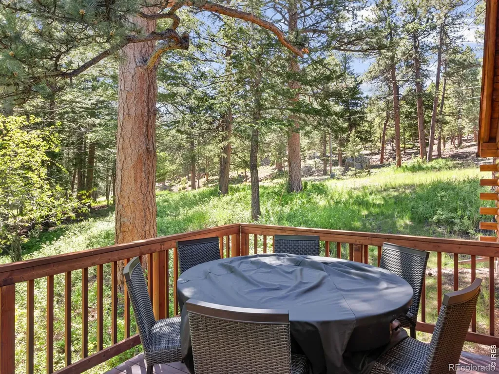 1062 Ramshorn Road Estes Park CO 80517