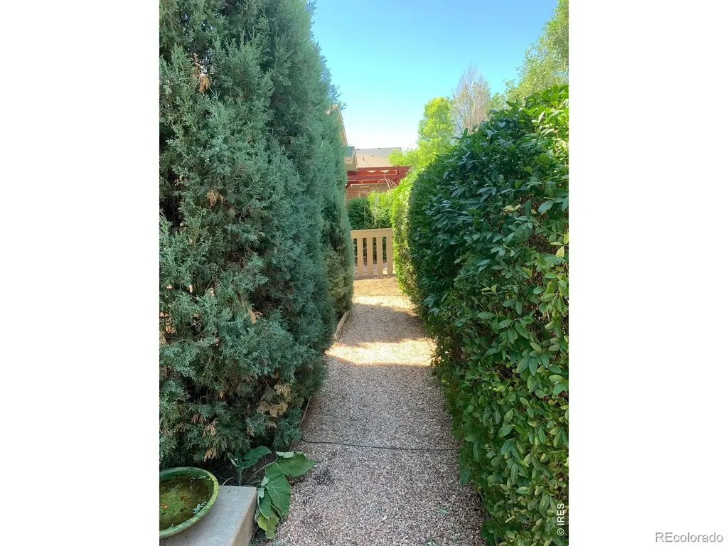 539 Coriander Lane Fort Collins CO 80521