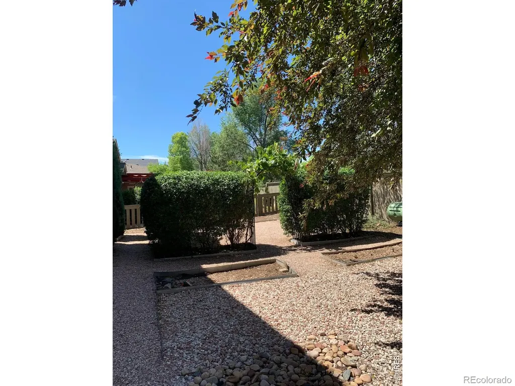 539 Coriander Lane Fort Collins CO 80521